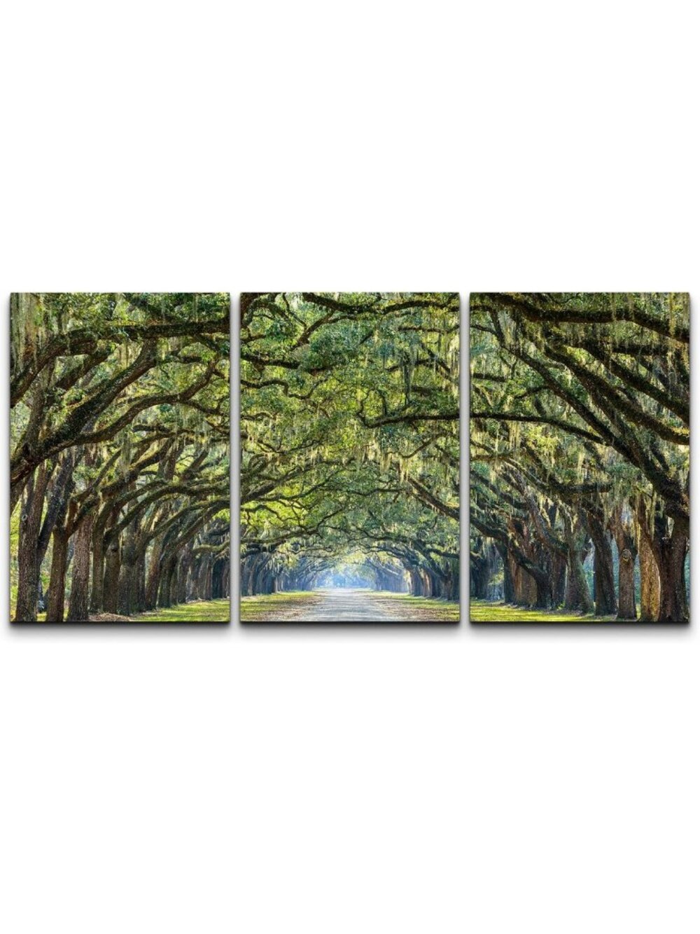 Colorful Nature Canvas Wall Art Set - Hanging Tree Archway Photography, 16x24